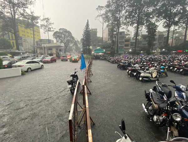 TP Hồ Chí Minh: Mưa như trút nước, đường ngập, cây đổ khắp nơi - Ảnh 2