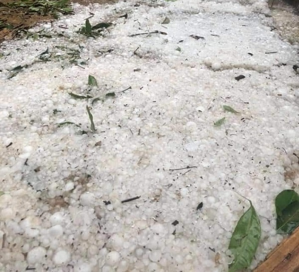 Nghệ An: Hàng trăm nhà dân bị hư hỏng sau trận lốc xoáy kèm mưa đá - Ảnh 3