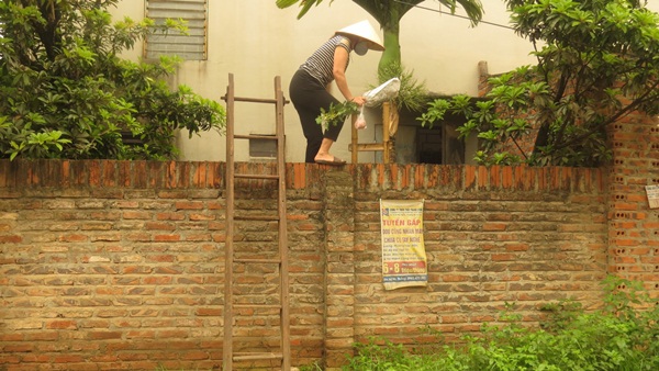 Vụ xây bịt ngõ đi chung tại xã Trung Hòa, huyện Chương Mỹ (Hà Nội): Chính quyền địa phương chậm xử lý vi phạm - Ảnh 3