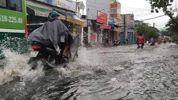 TP Hồ Chí Minh: Mưa như trút nước, đường ngập, cây đổ khắp nơi - Ảnh 1