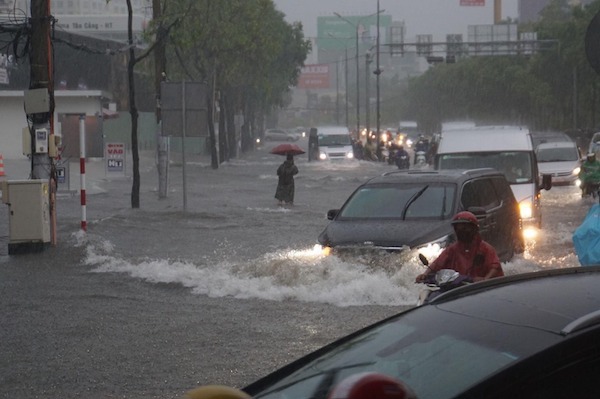 TP Hồ Chí Minh: Mưa như trút nước, đường ngập, cây đổ khắp nơi - Ảnh 3