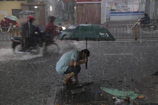 TP Hồ Chí Minh: Mưa như trút nước, đường ngập, cây đổ khắp nơi - Ảnh 5
