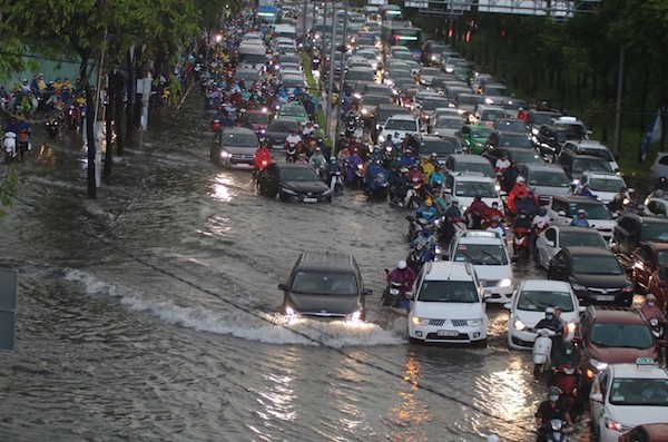 TP Hồ Chí Minh: Mưa như trút nước, đường ngập, cây đổ khắp nơi - Ảnh 6