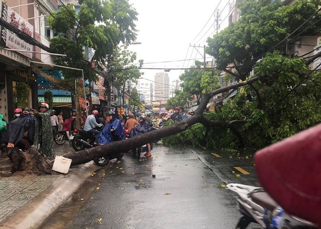 TP Hồ Chí Minh: Mưa lớn, hàng loạt tuyến đường ngập sâu trong nước - Ảnh 4