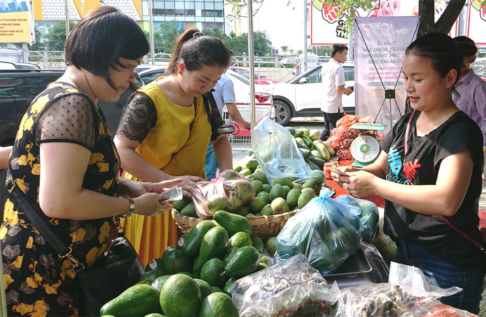 Hình ảnh về Tuần hàng trái cây, nông sản các tỉnh, thành phố tại Hà Nội - Ảnh 2