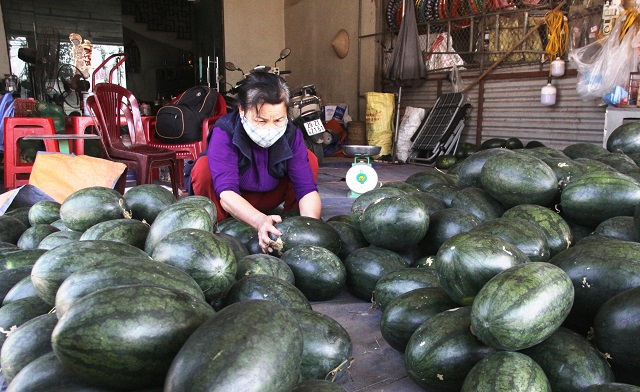 Xã Thanh Lâm, huyện Mê Linh: Khó dẹp chợ trái cây tự phát - Ảnh 1