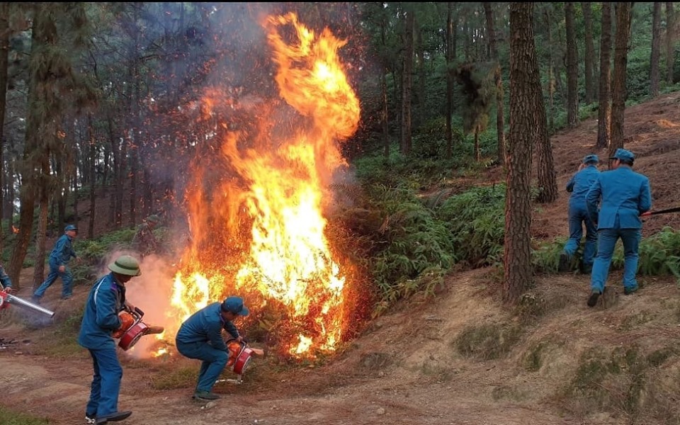 Hà Nội thực hiện các biện pháp cấp bách phòng cháy, chữa cháy rừng - Ảnh 1