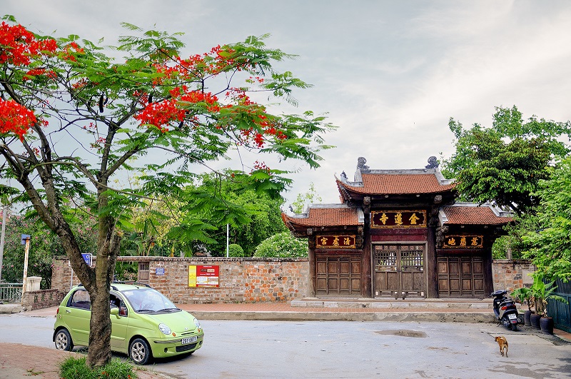 Hà Nội: Muôn hoa đua nở đầu Hè - Ảnh 4