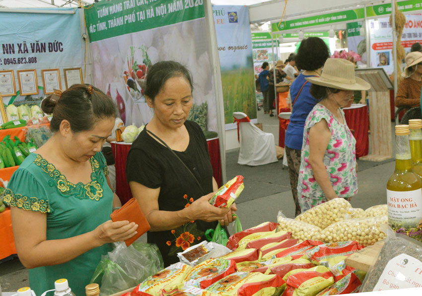 Khai mạc tuần hàng trái cây, nông sản các tỉnh, thành phố tại Hà Nội - Ảnh 3