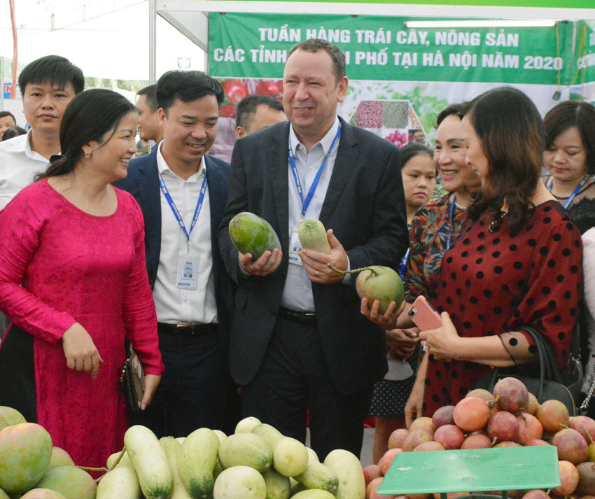 Khai mạc tuần hàng trái cây, nông sản các tỉnh, thành phố tại Hà Nội - Ảnh 2
