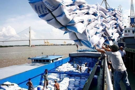 Xuất khẩu gạo Việt Nam: Kết luận của Phó Thủ tướng về việc xuất khẩu gạo