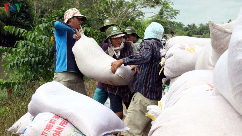 Xuất khẩu gạo trở lại: Tín hiệu vui cho người dân và doanh nghiệp - Ảnh 1