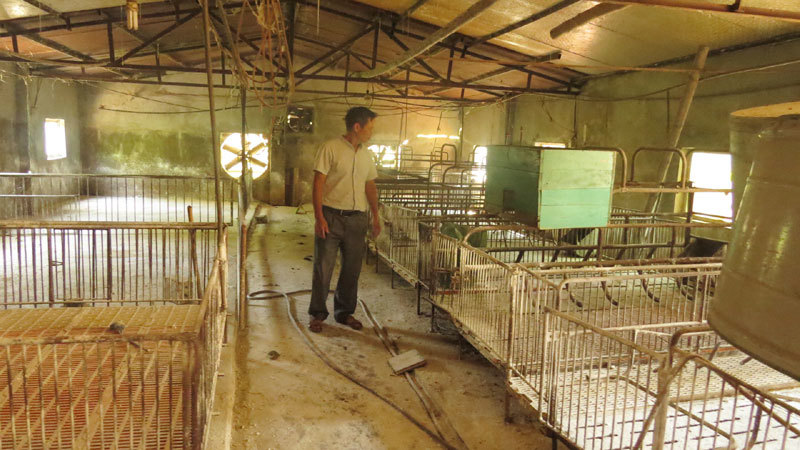 Vụ việc hỗ trợ tiền dịch tả lợn châu Phi tại xã Đốc Tín, huyện Mỹ Đức: Sớm ban hành kết luận thanh tra - Ảnh 1