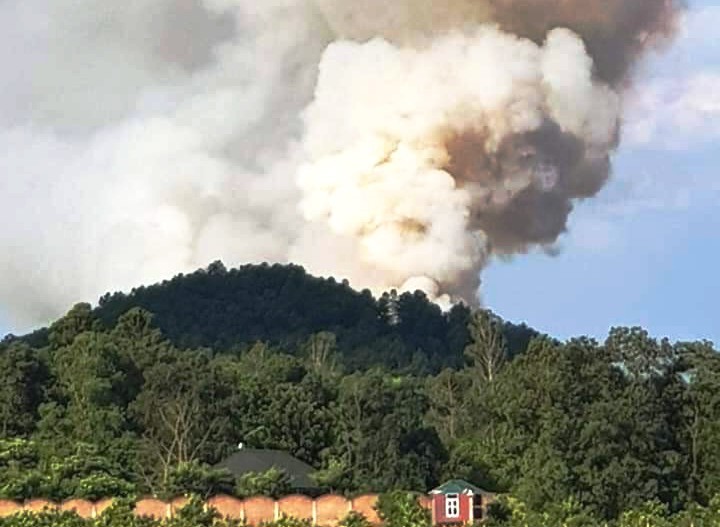 Dập tắt đám cháy gây thiệt hại hơn 1ha rừng tại huyện Sóc Sơn - Ảnh 1
