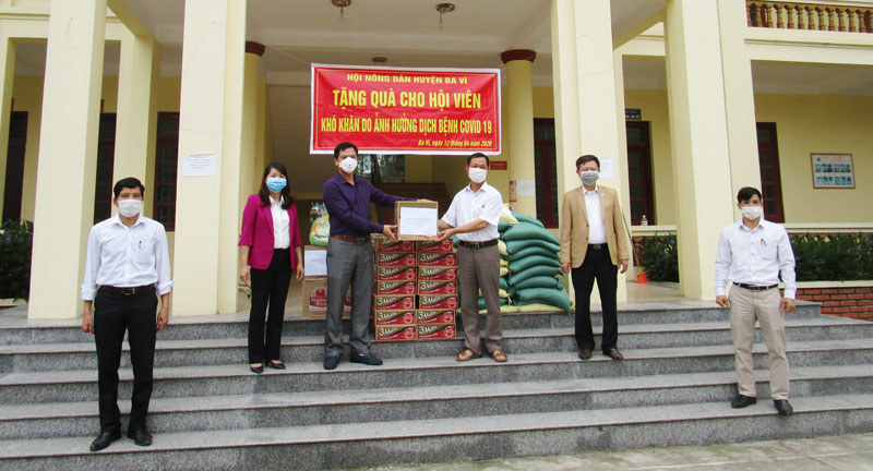 Hội Nông dân huyện Ba Vì tặng quà cho hội viên khó khăn do ảnh hưởng của dịch Covid-19 - Ảnh 1