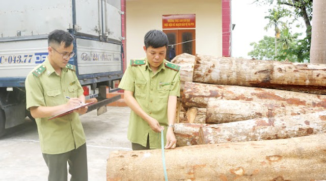 Trung bình mỗi tháng xảy ra hơn 800 vụ vi phạm Luật Lâm nghiệp - Ảnh 1