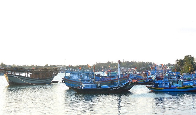 Quảng Ngãi: Quy định về cảng cá đủ điều kiện “làm khó” ngư dân - Ảnh 1