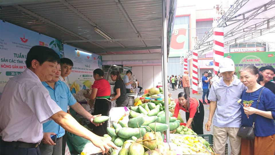 Hình ảnh về Tuần hàng trái cây, nông sản các tỉnh, thành phố tại Hà Nội - Ảnh 3