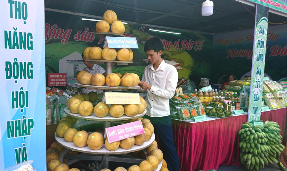 Hình ảnh về Tuần hàng trái cây, nông sản các tỉnh, thành phố tại Hà Nội - Ảnh 10