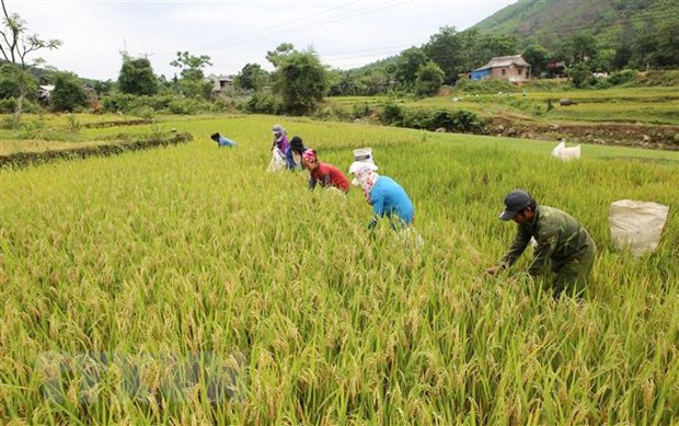 48 năm giải phóng Quảng Trị: Khát vọng vươn lên trên miền 'đất lửa' - Ảnh 3