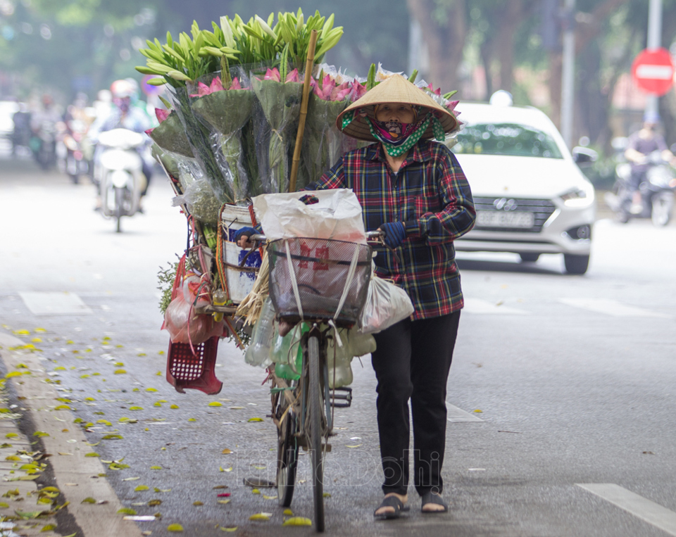 [Ảnh] Ngẩn ngơ với sắc sen đầu mùa xuống phố tại Hà Nội - Ảnh 9