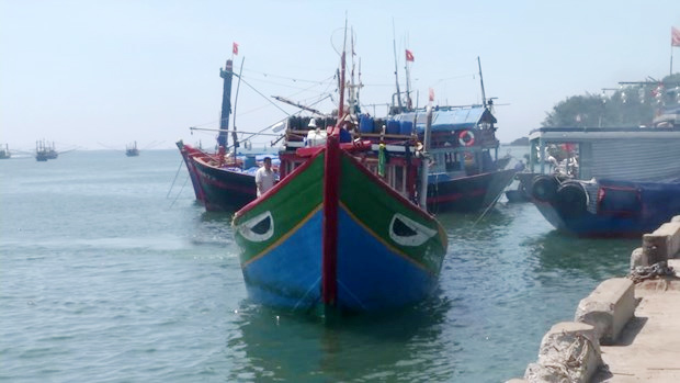 Yêu cầu Trung Quốc phối hợp giải quyết vụ ép tàu cá ở khu vực Hoàng Sa - Ảnh 1