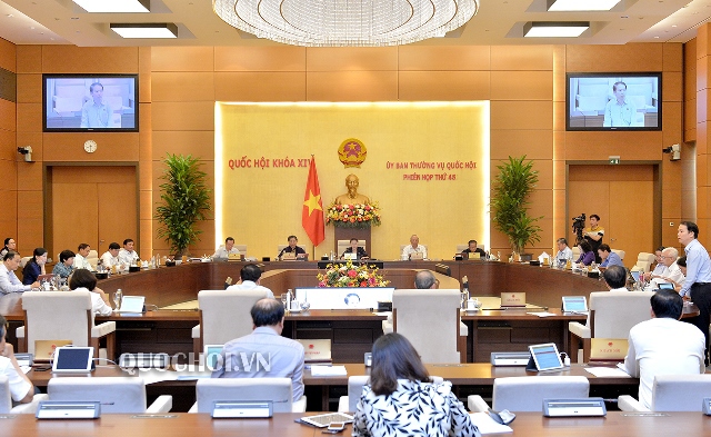 Mô hình thí điểm chính quyền đô thị tại Đà Nẵng theo hướng tăng trách nhiệm của chính quyền - Ảnh 2