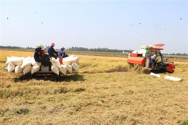 Nông nghiệp với vai trò trụ đỡ cho nền kinh tế Việt Nam - Ảnh 2