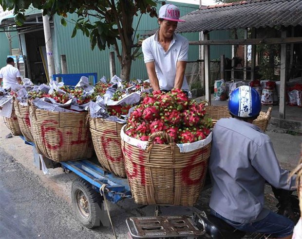 Nông nghiệp với vai trò trụ đỡ cho nền kinh tế Việt Nam - Ảnh 3