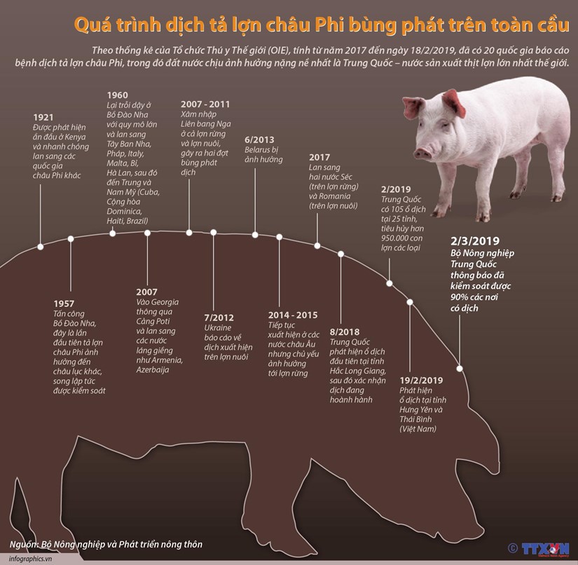 [Infographics] Quá trình dịch tả lợn châu Phi bùng phát trên toàn cầu - Ảnh 1