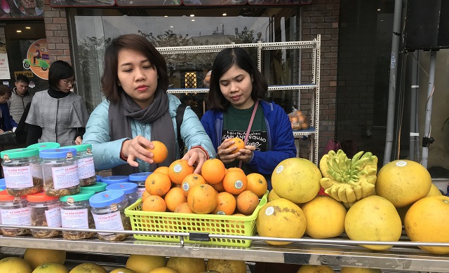 Trung tâm Trợ giúp nông dân Hà Nội: Cầu nối tiêu thụ nông sản an toàn - Ảnh 1