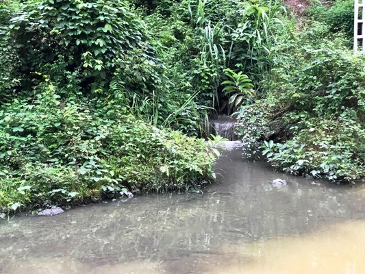 Vụ nước sạch sông Đà bị nhiễm dầu: Điều khó tránh khỏi - Ảnh 4