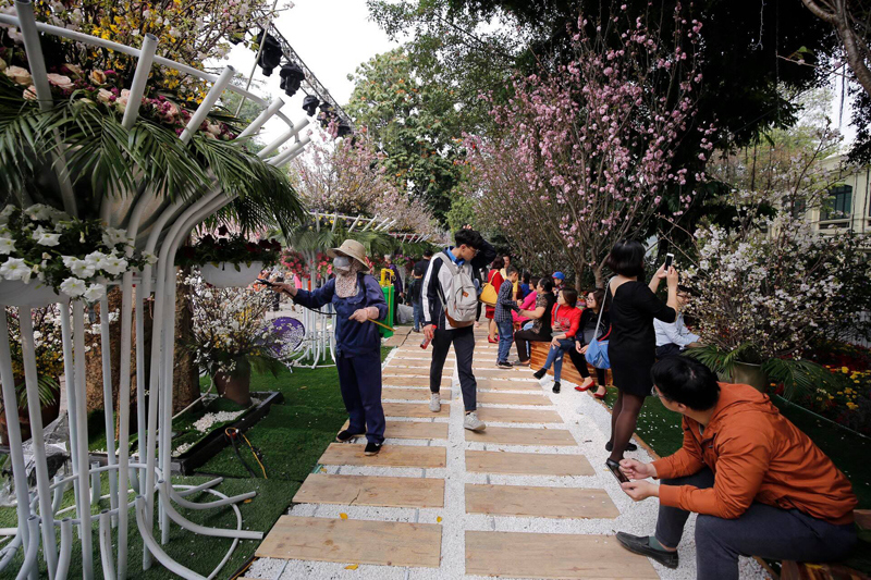 Hình ảnh người dân đến vườn hoa Lý Thái Tổ chiêm ngưỡng hoa anh đào - Ảnh 11