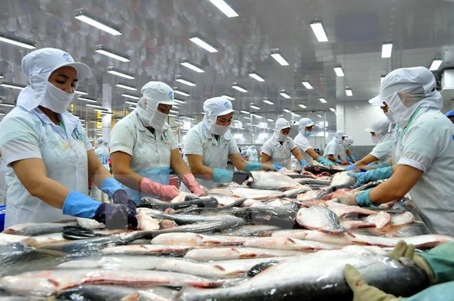Bộ Công Thương đề nghị Hoa Kỳ điều chỉnh mức thuế với cá tra - basa của Việt Nam - Ảnh 1
