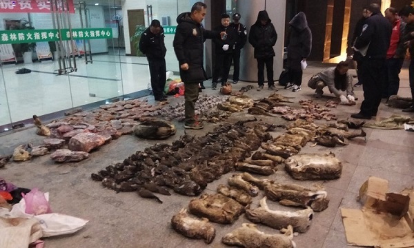 Trung Quốc cấm vĩnh viễn hoạt động tiêu thụ động vật hoang dã - Ảnh 1