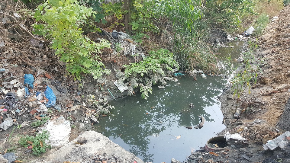TP Hồ Chí Minh: Công ty Vĩnh Khang xả chất thải độc hại ra môi trường, người dân kêu cứu - Ảnh 2