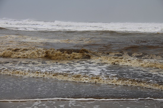 Vụ nước biển chuyển màu ở Quảng Ngãi: Không ngửi thấy mùi dầu, không có hải sản chết - Ảnh 5