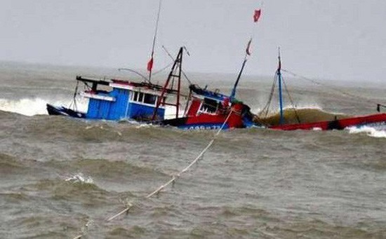 Bảo hiểm tàu cá ở Quảng Ngãi: Quy định “lệch pha”, ngư dân chịu thiệt - Ảnh 2