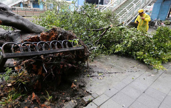 Chùm ảnh siêu bão Maria càn quét Trung Quốc - Ảnh 3