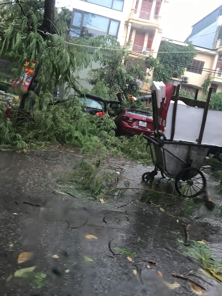 [Ảnh] Hà Nội: Mưa gió khủng khiếp, cây đổ hàng loạt khiến 1 người thiệt mạng - Ảnh 11