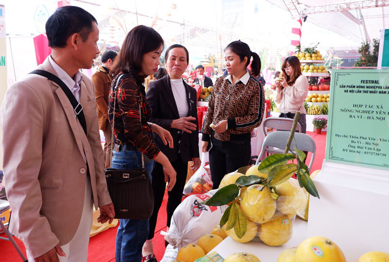Festival Sản phẩm nông nghiệp và làng nghề Hà Nội: Kết nối, thúc đẩy nông nghiệp sản xuất hàng hóa - Ảnh 5
