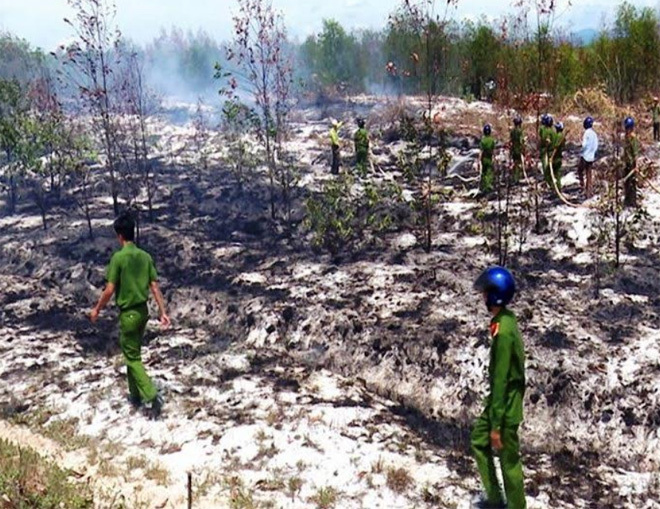 Nguyên nhân cháy gần 11ha rừng ở Quảng Trị - Ảnh 1