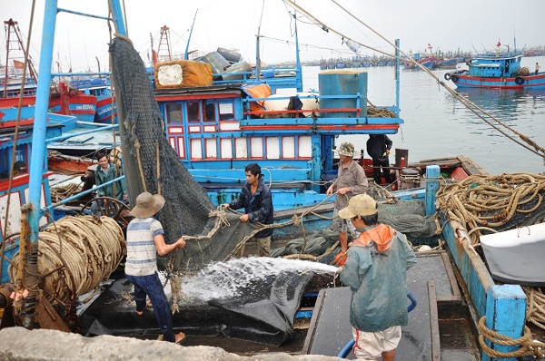 Đà Nẵng: Đẩy mạnh các chính sách phát triển thủy sản trên địa bàn thành phố - Ảnh 1