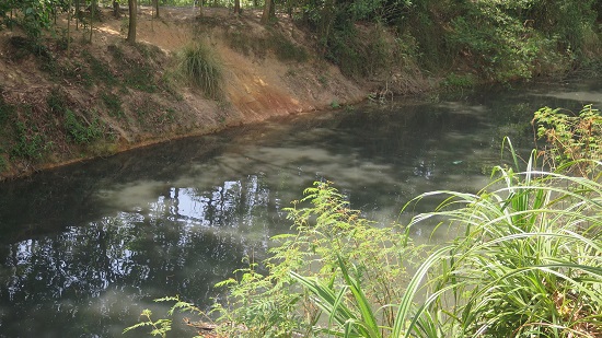 Quảng Ngãi: Phản đối ô nhiễm, dân đổ đất lấp kênh - Ảnh 1