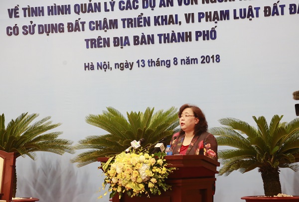 Chủ tịch HĐND TP Nguyễn Thị Bích Ngọc: Khắc phục ngay bất cập trong phối hợp quản lý dự án sử dụng đất - Ảnh 1