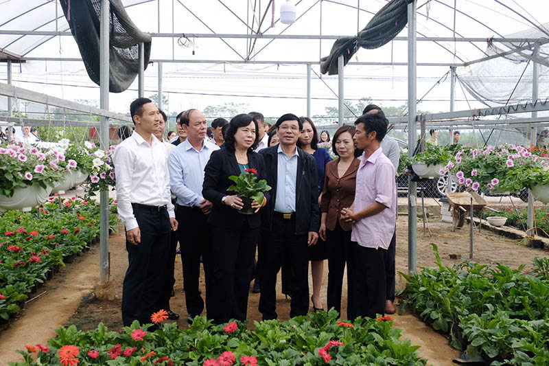 Phó Bí thư Thường trực Thành ủy Ngô Thị Thanh Hằng: Chú trọng mở rộng các vùng sản xuất nông nghiệp chất lượng cao - Ảnh 2