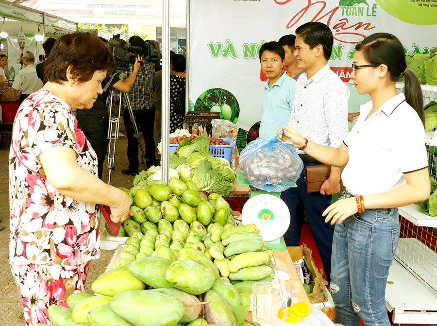 Đưa nông sản an toàn Sơn La về Hà Nội - Ảnh 1