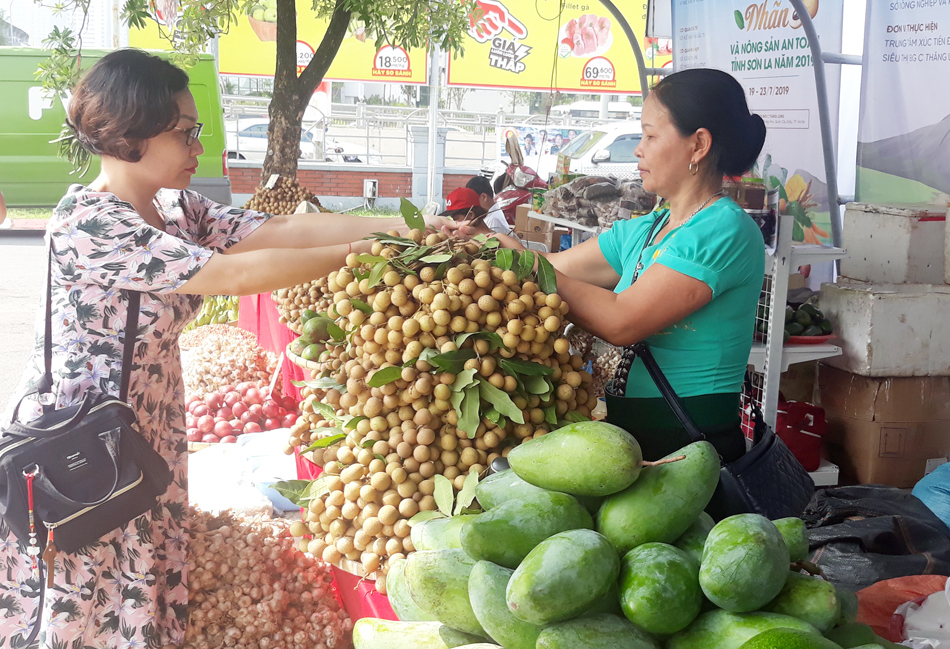 Đưa nhãn Sơn La đến với người tiêu dùng Thủ đô - Ảnh 2