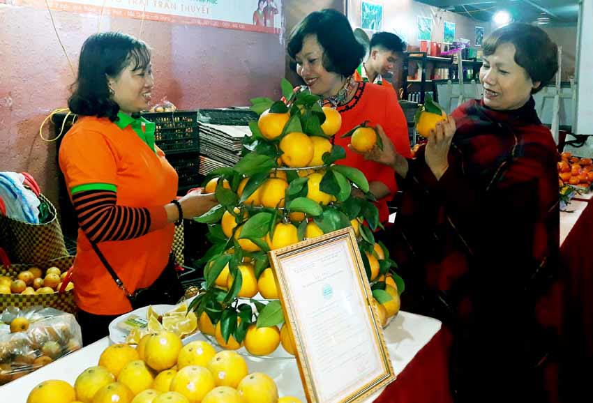 Cam sành và sản phẩm OCOP Hà Giang 'đổ bộ' thị trường Hà Nội - Ảnh 1