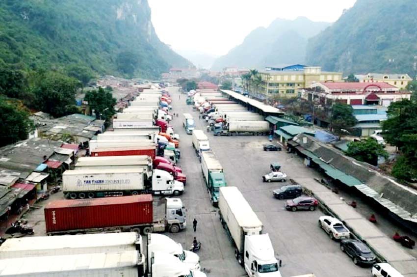Ùn ứ hơn 1.000 xe nông sản xuất khẩu sang Trung Quốc - Ảnh 1